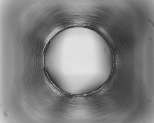 X0000102541370200808291832