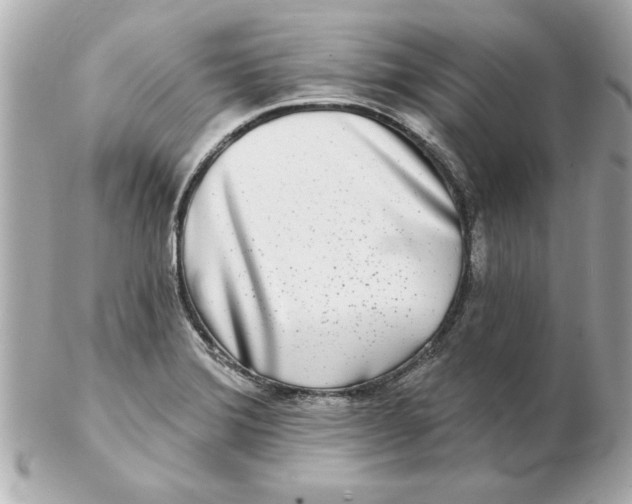 X0000102541372200808291832