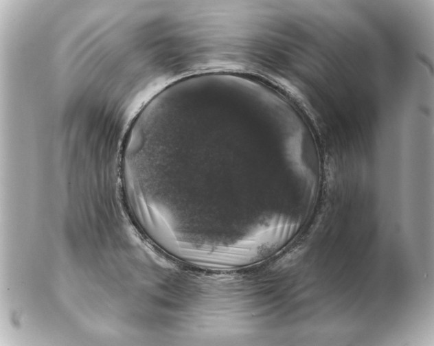 X0000102541373200808291832
