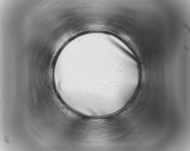 X0000102541376200808291832
