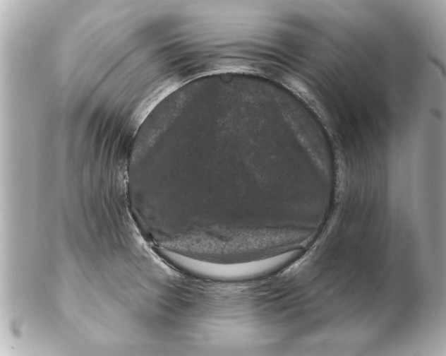 X0000102541377200808291832