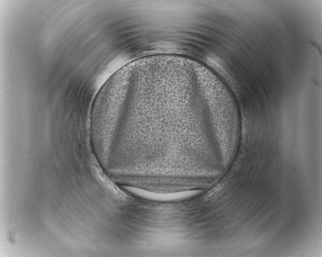 X0000102541378200808291832