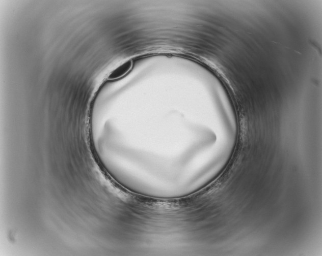 X0000102541379200808291832