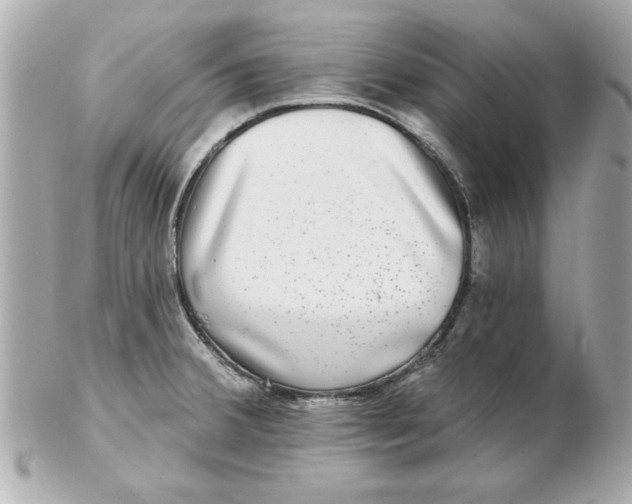 X0000102541380200808291832