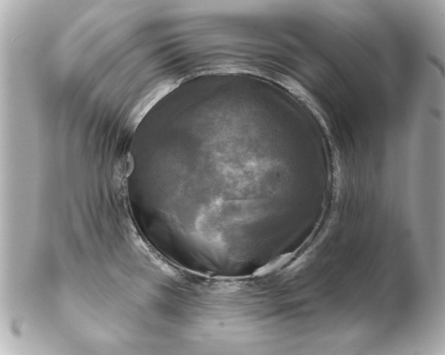 X0000102541385200808291832