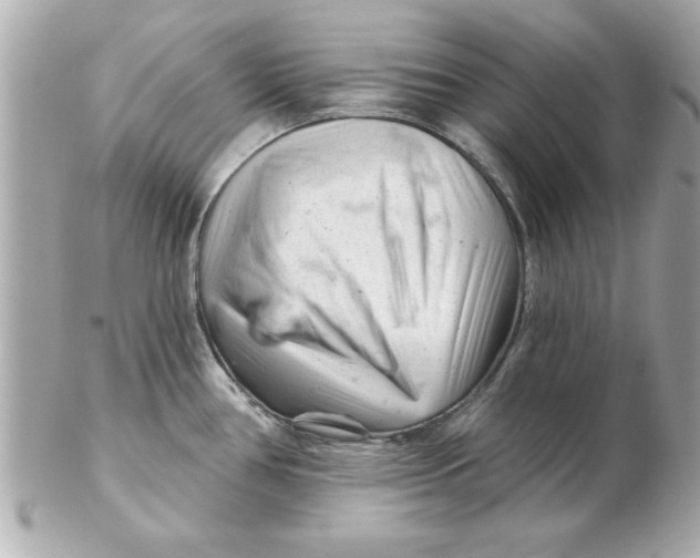 X0000102541386200808291832