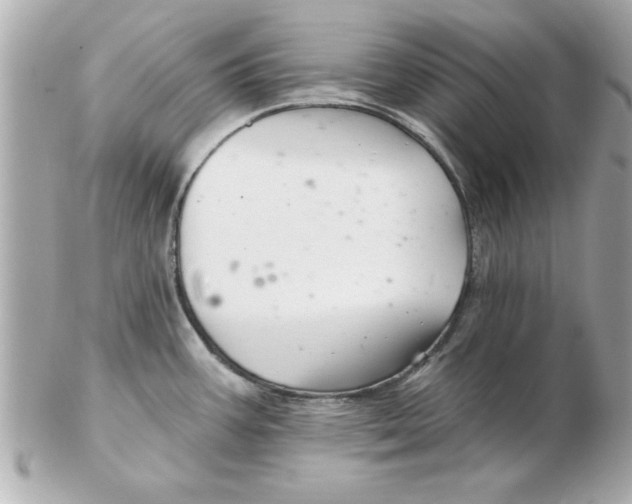 X0000102541387200808291832