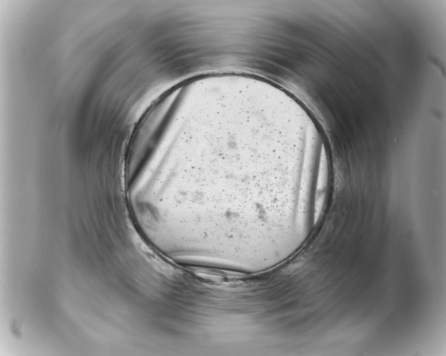 X0000102541388200808291832