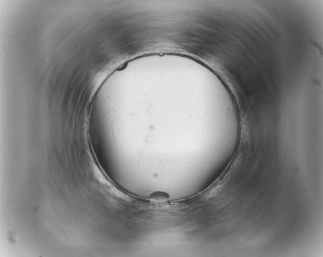 X0000102541390200808291832