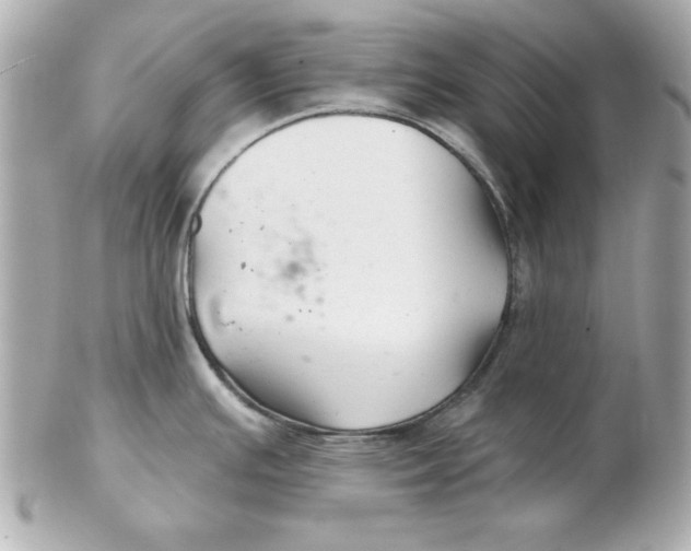 X0000102541391200808291832