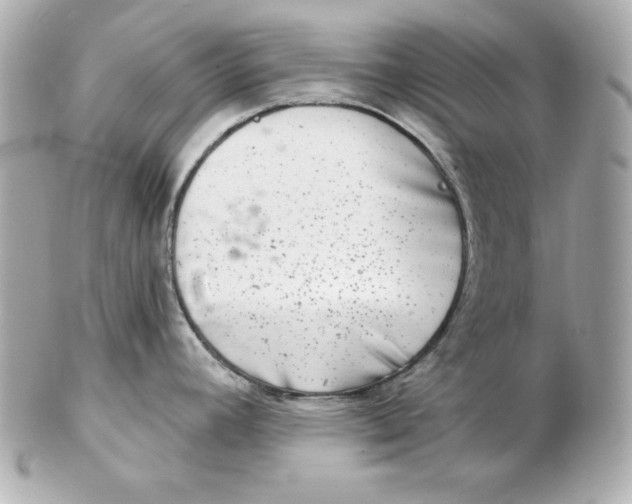 X0000102541392200808291832