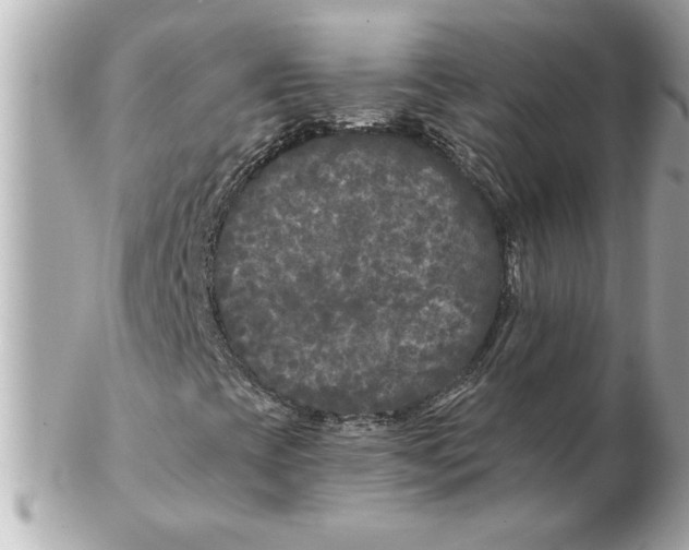 X0000102541393200808291831