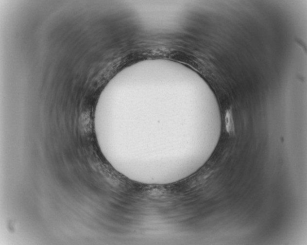 X0000102541395200808291831