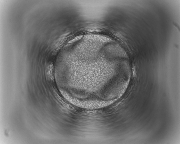 X0000102541396200808291831