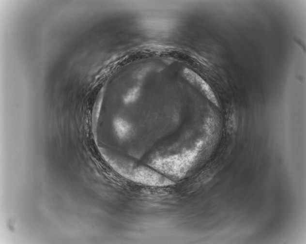 X0000102541397200808291832