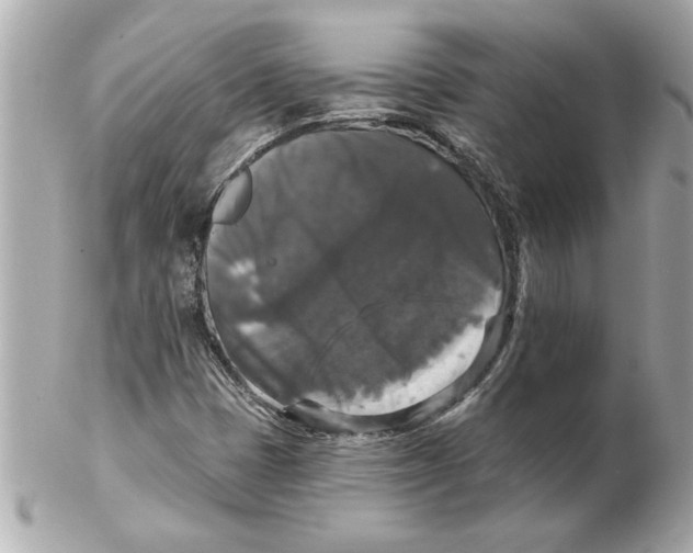 X0000102541401200808291832