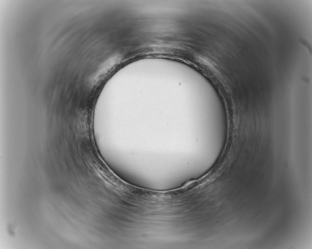 X0000102541403200808291832