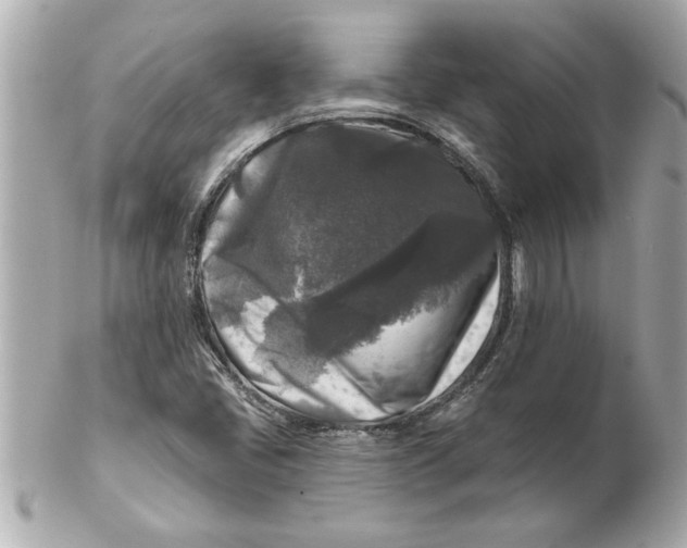 X0000102541405200808291832