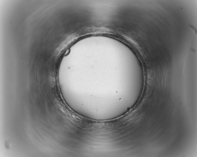 X0000102541407200808291832