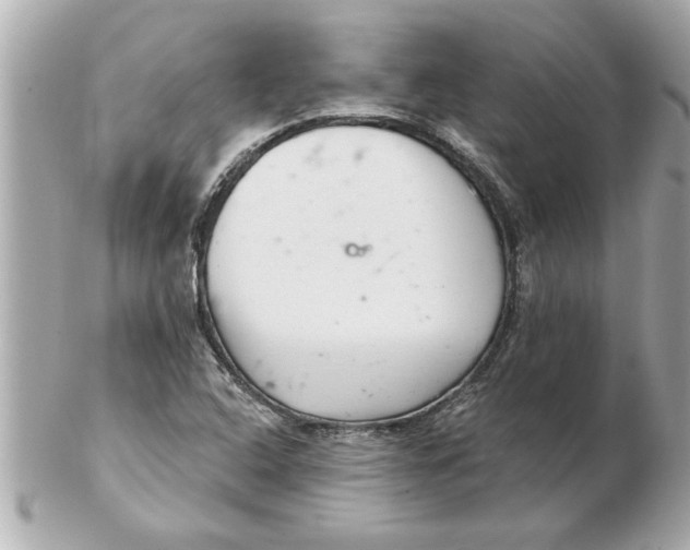 X0000102541408200808291832