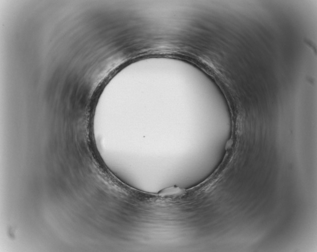 X0000102541410200808291832