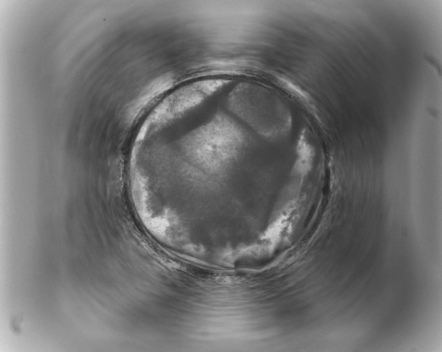 X0000102541411200808291832