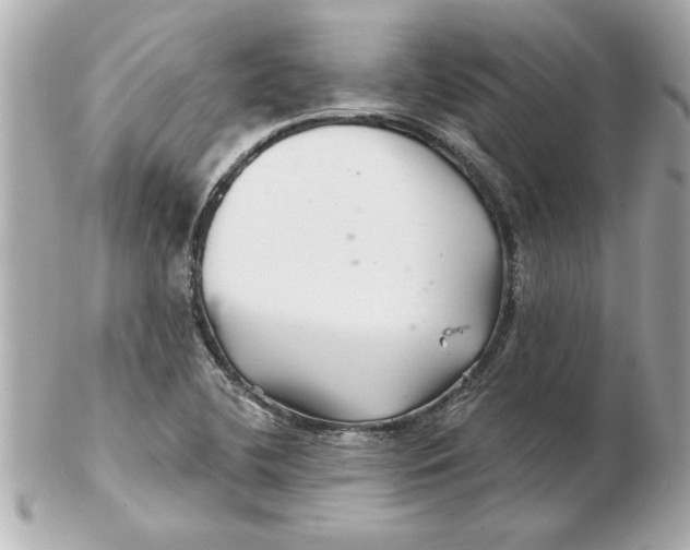 X0000102541412200808291832