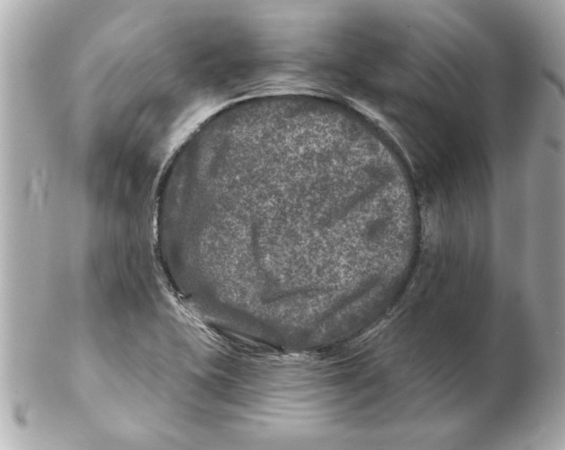 X0000102541415200808291832