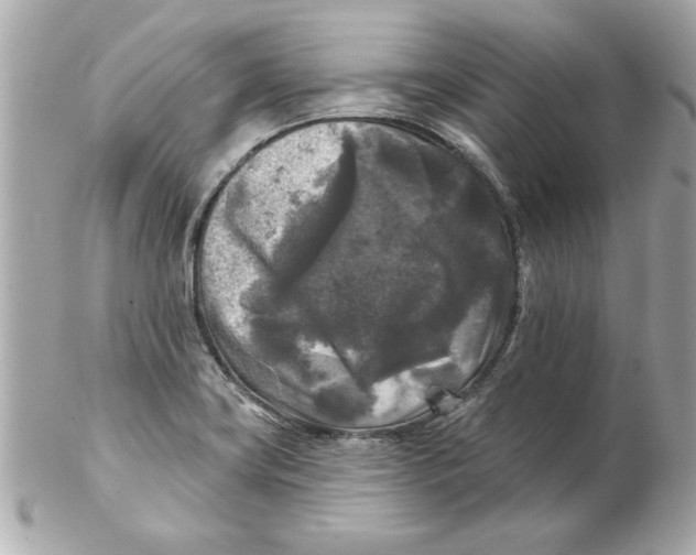 X0000102541419200808291832