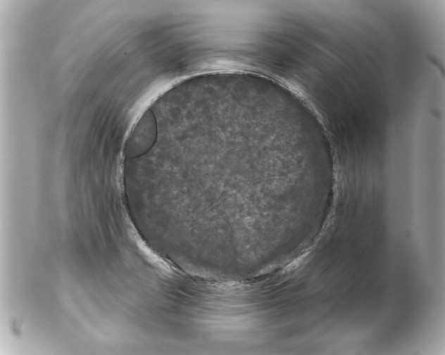 X0000102541421200808291832