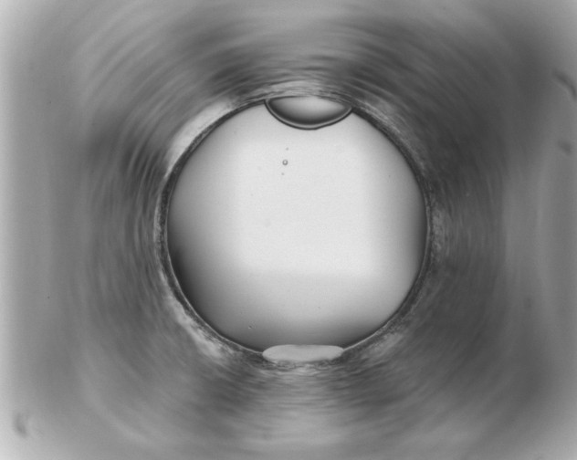 X0000102541426200808291832