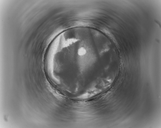 X0000102541427200808291832