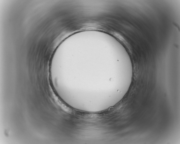 X0000102541431200808291832