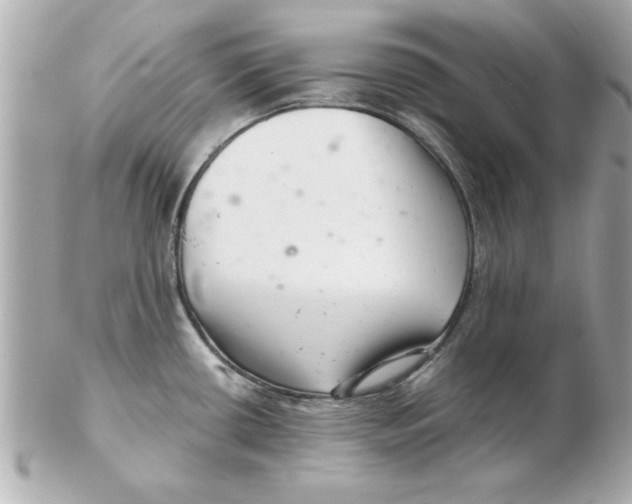 X0000102541434200808291832