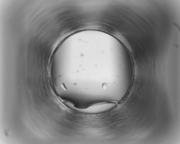 X0000102541436200808291832