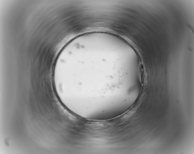 X0000102541438200808291832