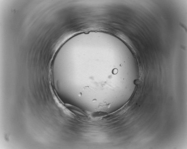 X0000102541439200808291832