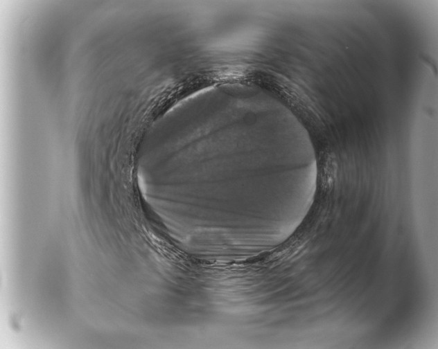 X0000102541441200808291831