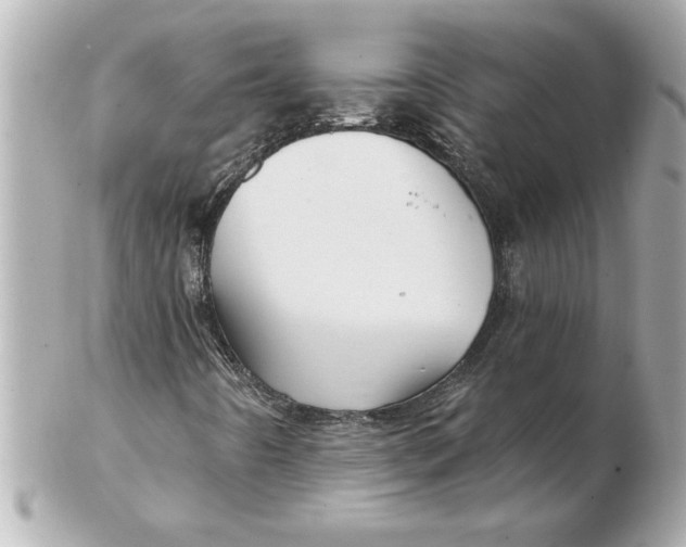 X0000102541442200808291831