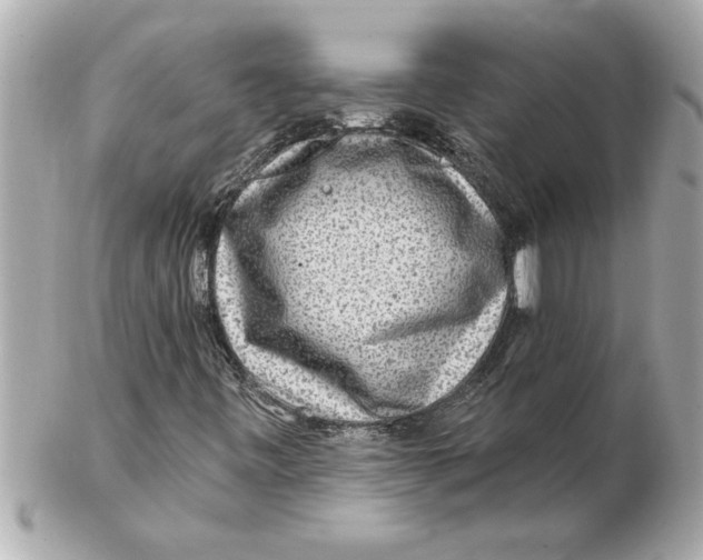 X0000102541443200808291831