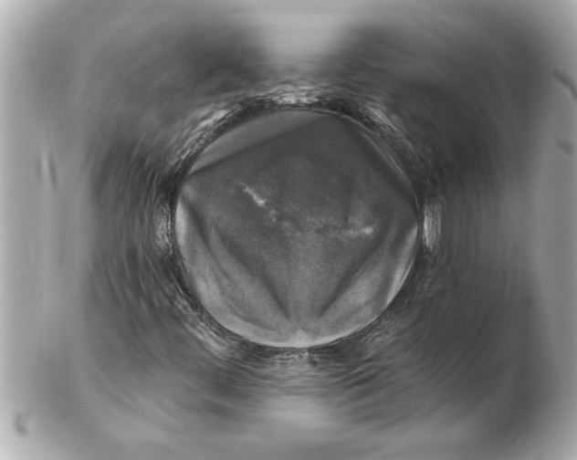 X0000102541444200808291831
