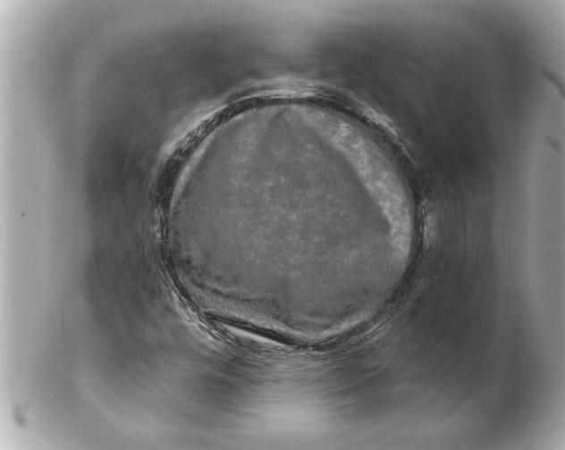 X0000102541448200808291831