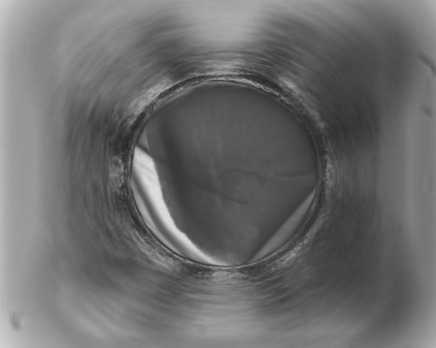 X0000102541449200808291831