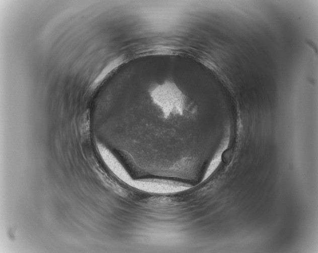 X0000102541450200808291831