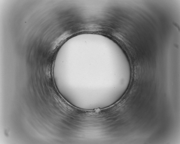 X0000102541451200808291831