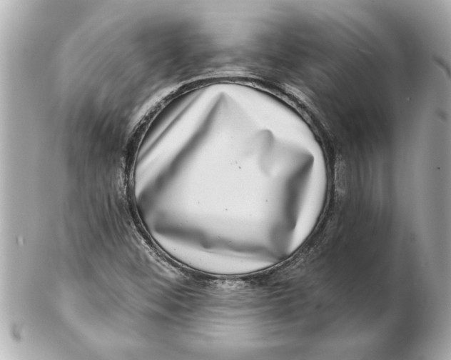 X0000102541452200808291831