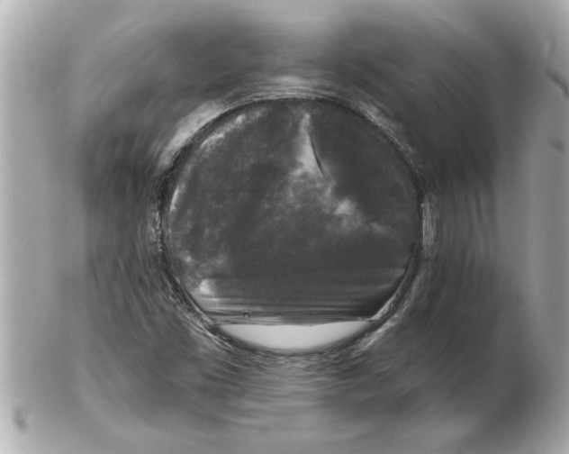 X0000102541453200808291831