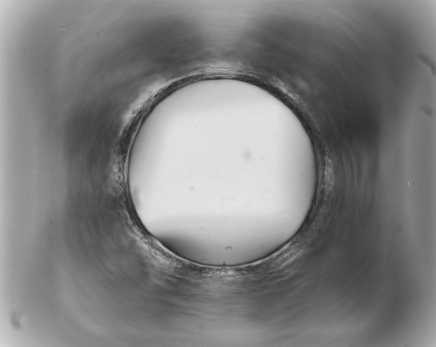 X0000102541454200808291831
