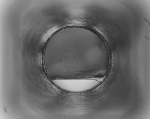 X0000102541455200808291831