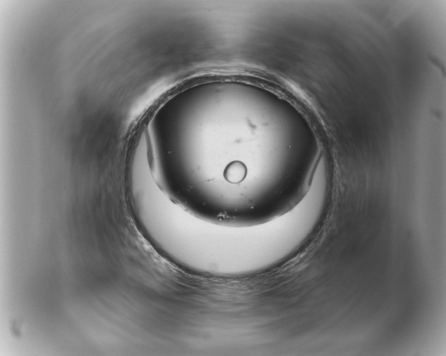 X0000102541456200808291831